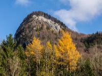 Überhängende Wand bei Hainbach im Priental mit herbstlichen Lärchen
